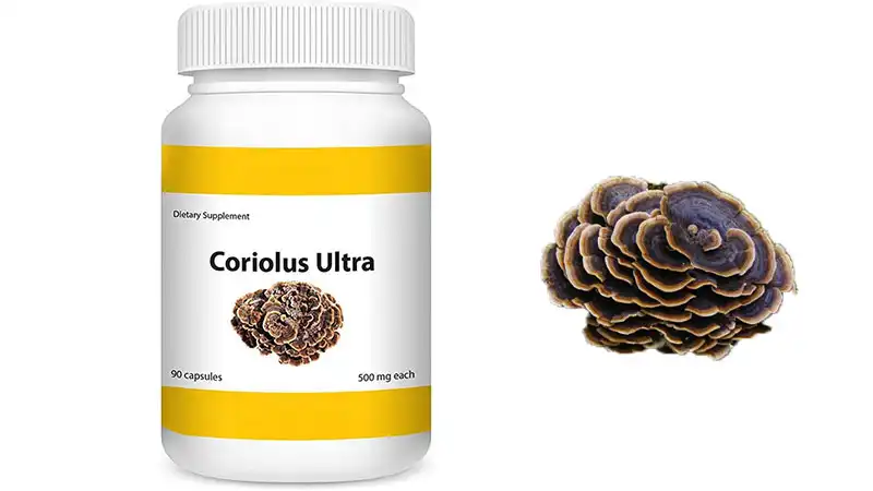 What are the Health Benefits of Turkey Tail Extract Powder?